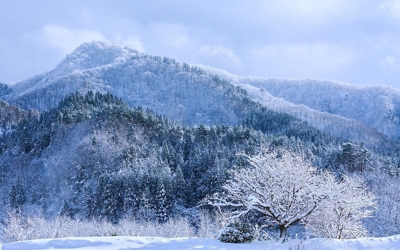Mine-no-yuki, la neige recouvrant les sommets